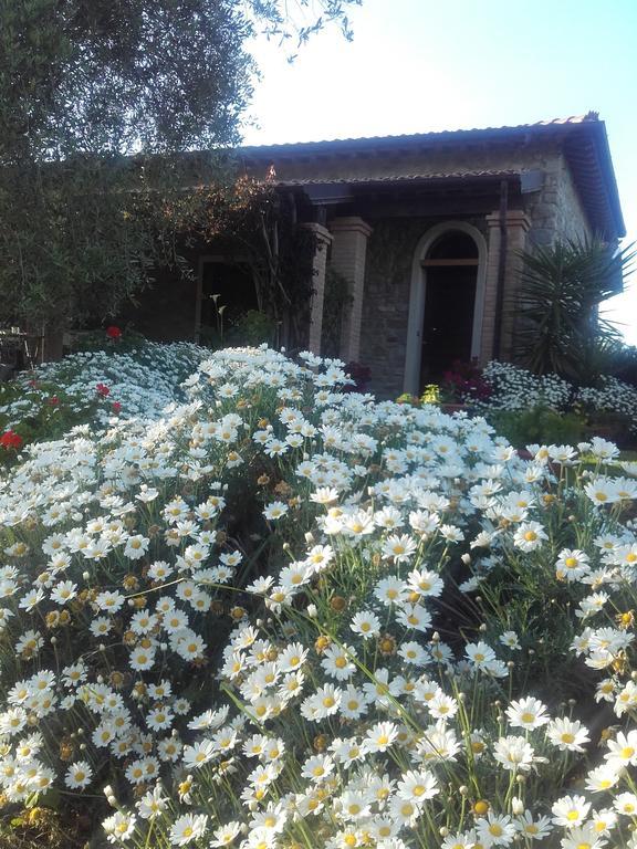 Casa Santina Villa Girasole Exterior photo